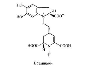 бетанидин