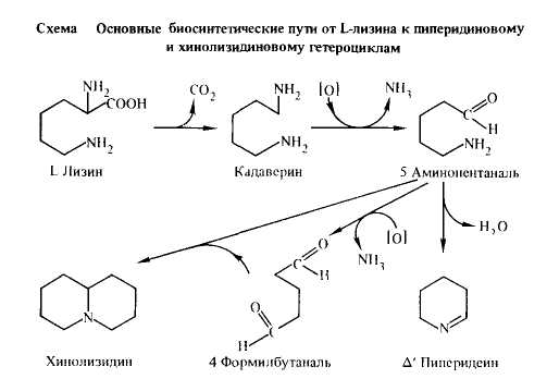 схема