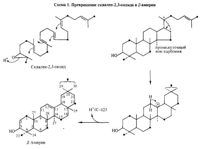 Схема