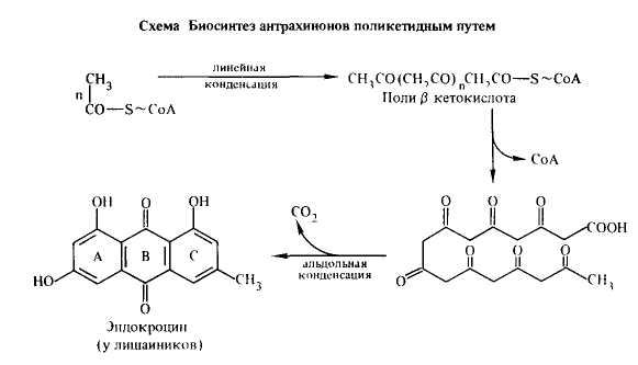 Схема