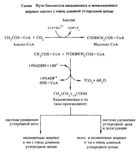 Схема