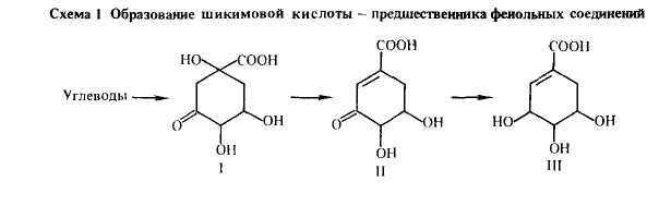 Схема