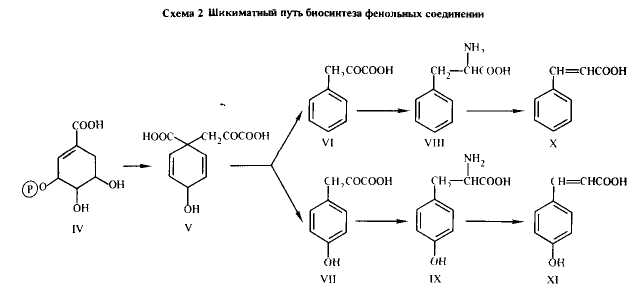 Схема