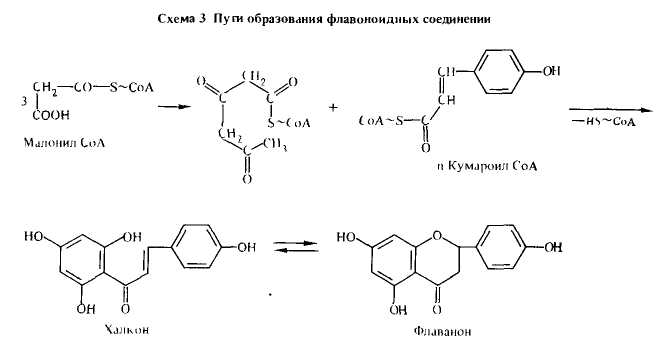 Схема 3
