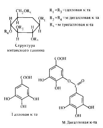 Структура китайского таннина