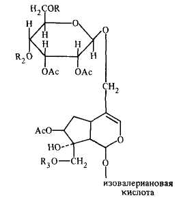 Изовалериановая кислота